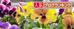 br_decobanner_20101022210428.gif